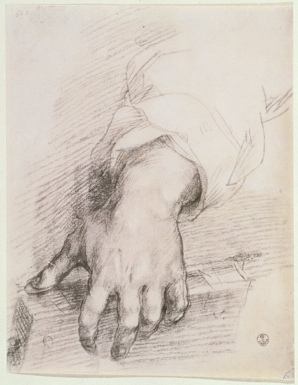 Estudio de una mano para la Madonna del Arpa de Andrea del Sarto
