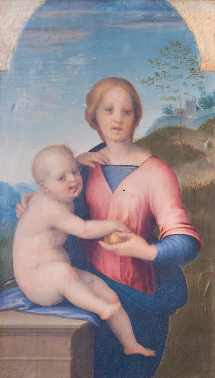 Virgen con el Niño (óleo sobre madera) de Andrea del Sarto