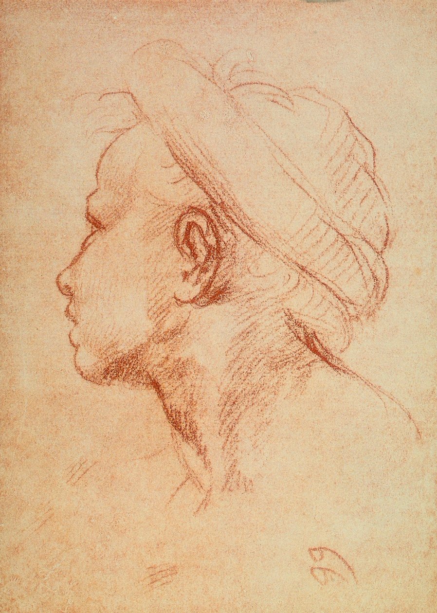 Cabeza de joven de perfil de Andrea del Sarto