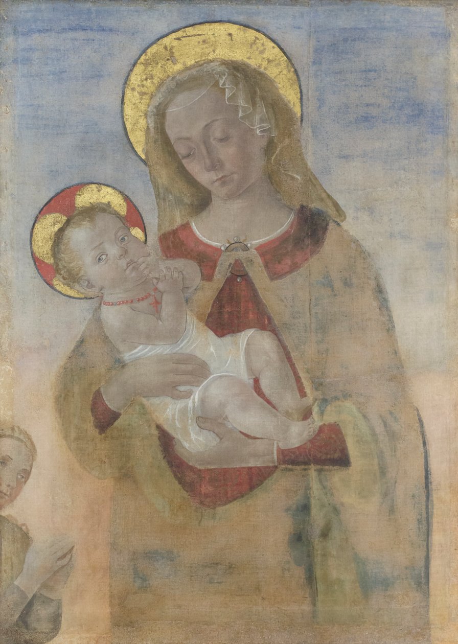 Virgen con el niño y rezando, c.1470-80 (óleo sobre lienzo) de Andrea del Verrocchio