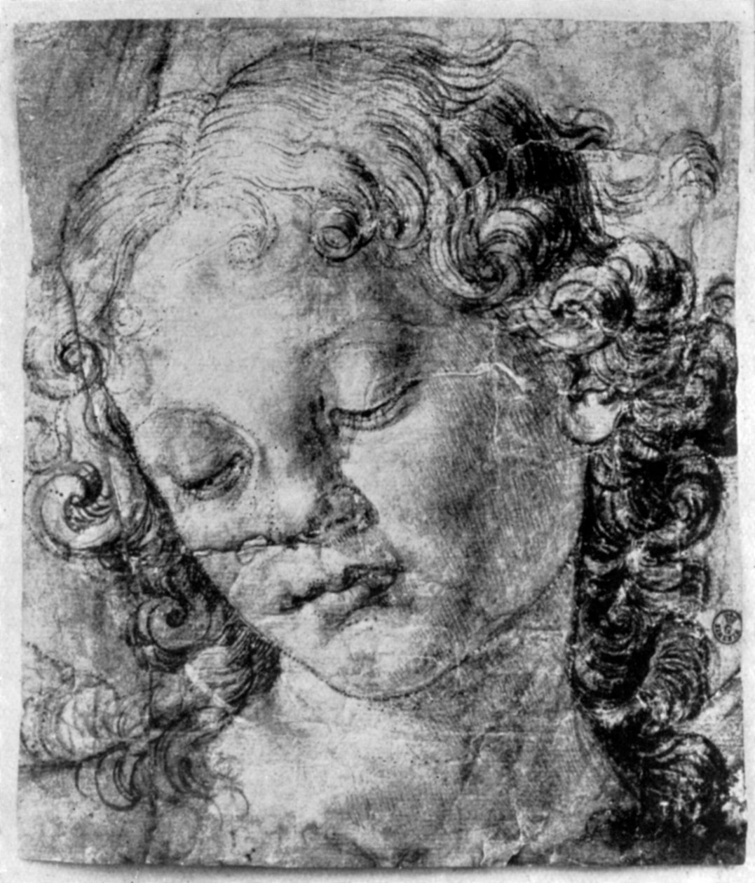 La cabeza de un ángel, siglo XV, 1930 de Andrea del Verrocchio