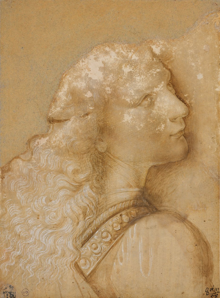 Busto de un joven, estudio para el ángel del “Bautismo de Cristo” de Verrocchio, c. 1475 de Andrea del Verrocchio