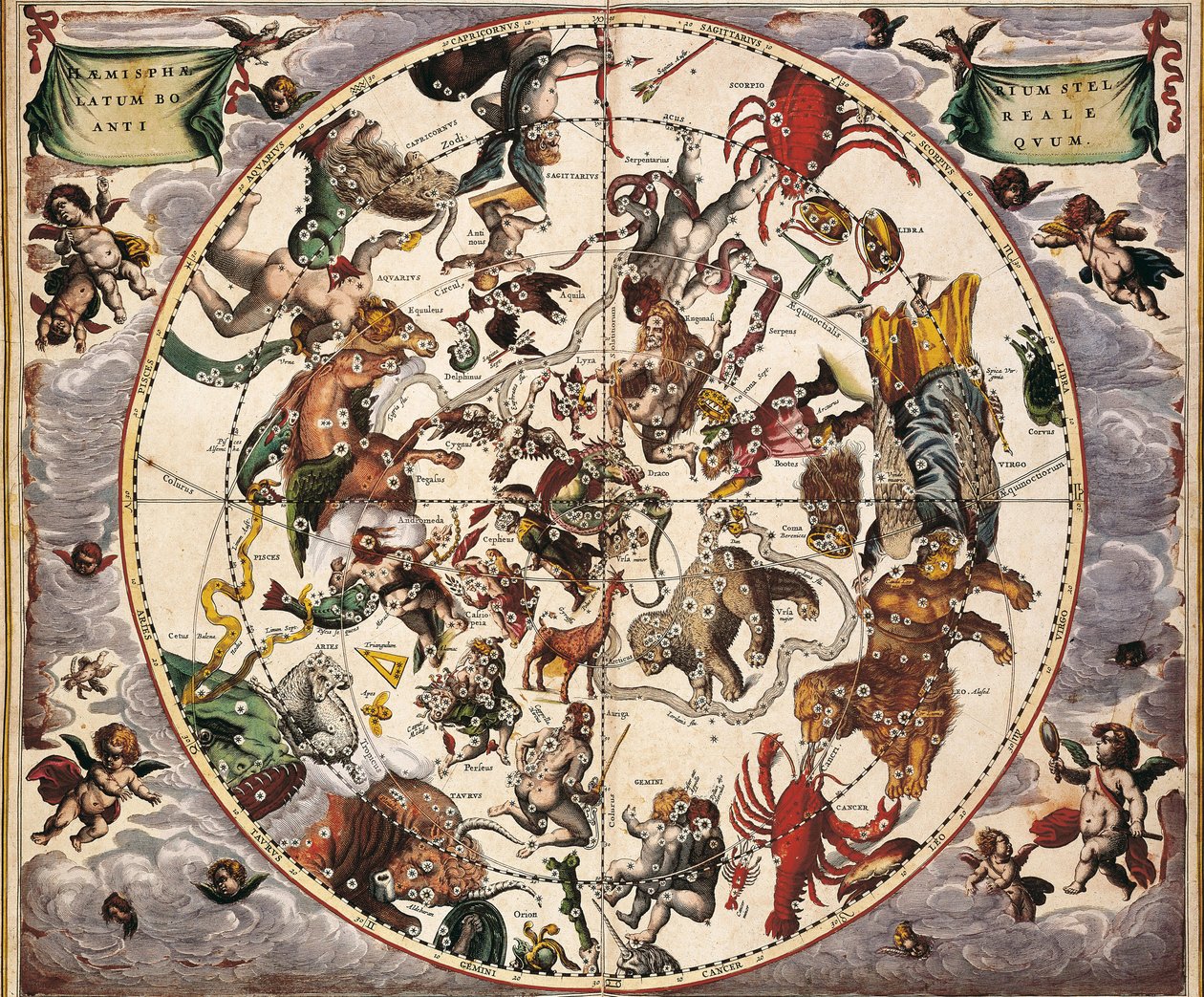 CELLARIUS, Andreas (1596-1665). Atlas Coelestis seu Harmonia Macrocosmica. 1661. Fol 24. Hemisphaerium stellatum boreale antiquum. Representación del hemisferio norte. Impreso en Amsterdam por Johannes Janssonius. Época moderna temprana. Grabado. ESPAÑA. C de Andreas Cellarius