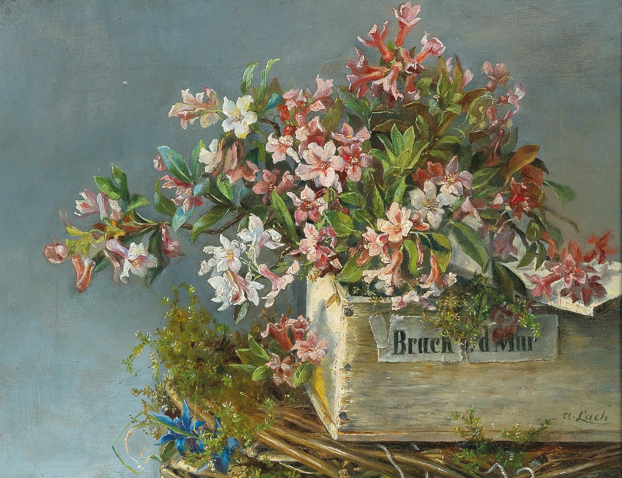 Rosas alpinas en jardinera de Andreas Lach