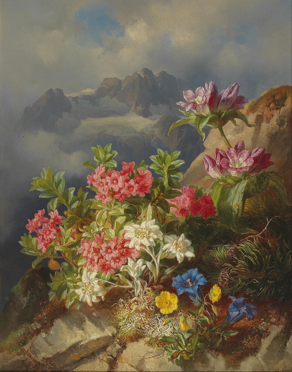 Bodegón con flores alpinas de Andreas Lach