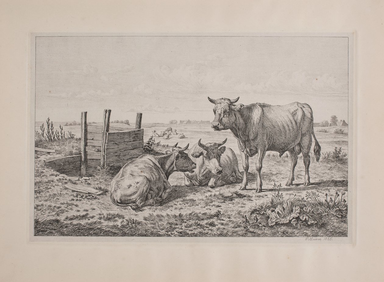 Danés: Un toro y dos vacas de Andreas Peter Madsen