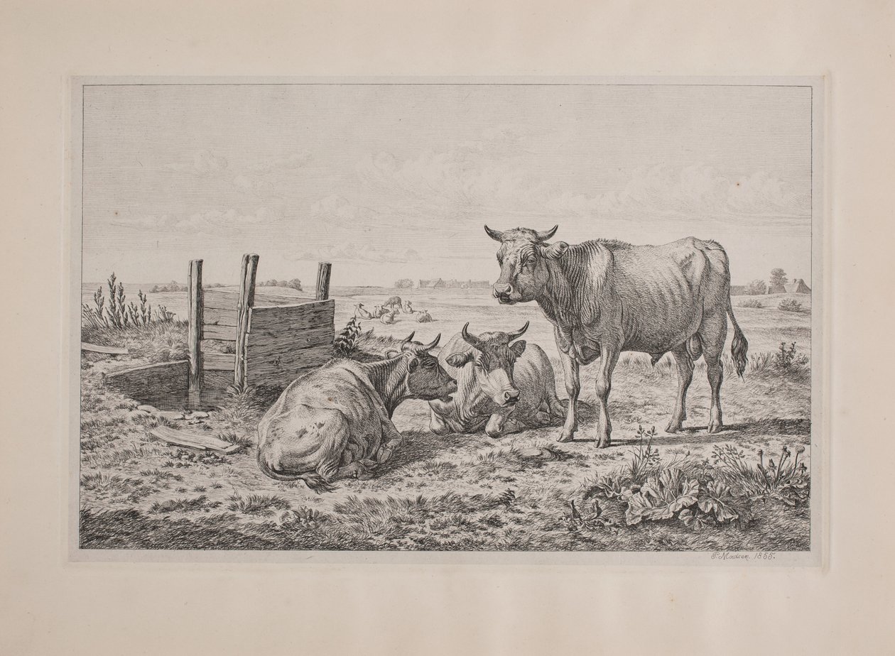 Un toro y dos vacas de Andreas Peter Madsen