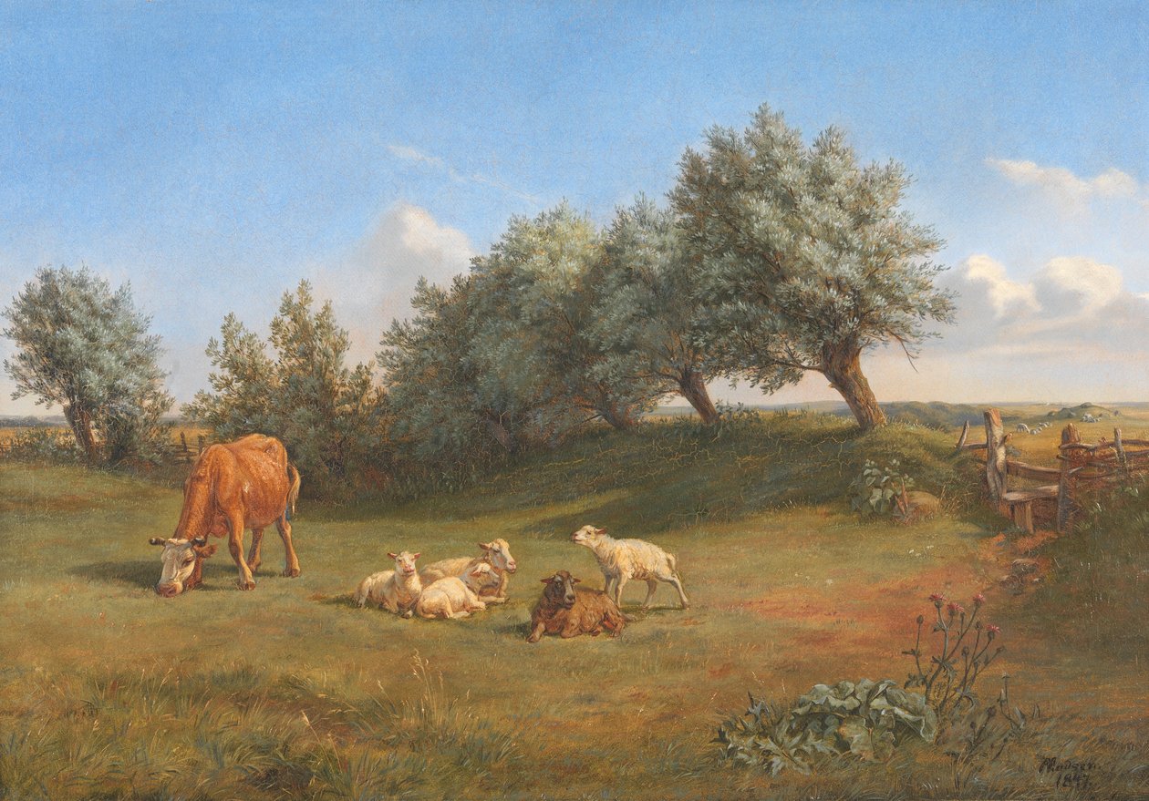Un campo de Andreas Peter Madsen