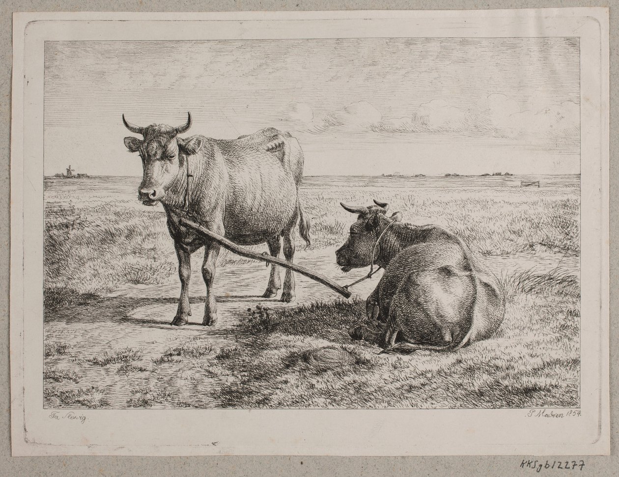 Dos vacas unidas de Andreas Peter Madsen