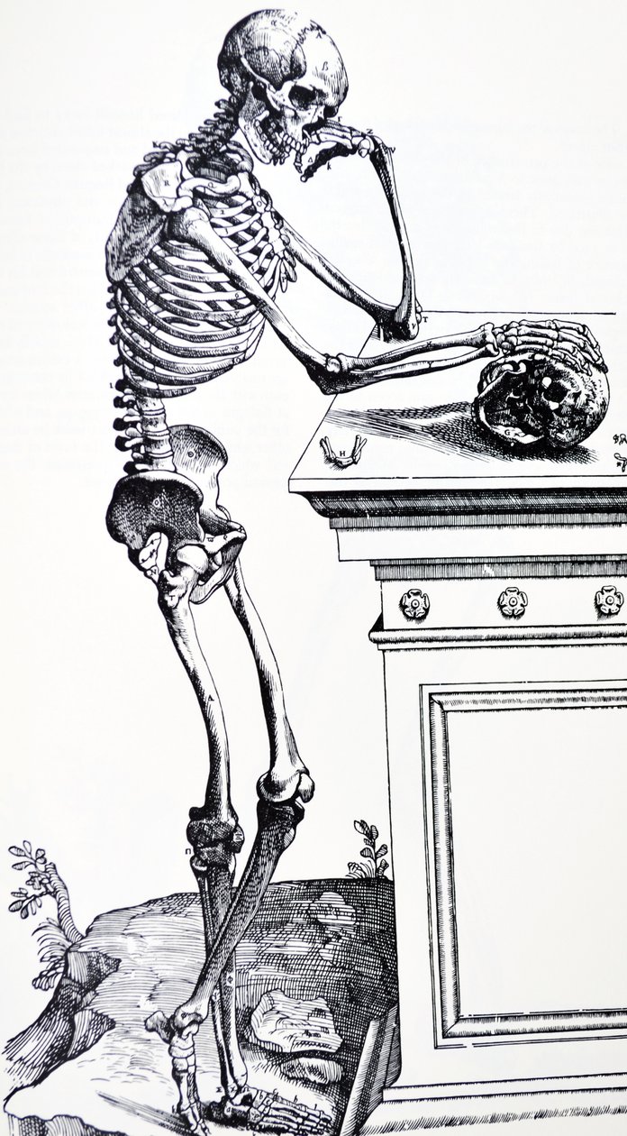 Esqueleto humano con calavera en la mano. De 
