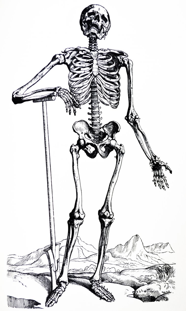 Las láminas del primer libro de De Humani Corporis Fabrica de Andreas Vesalius