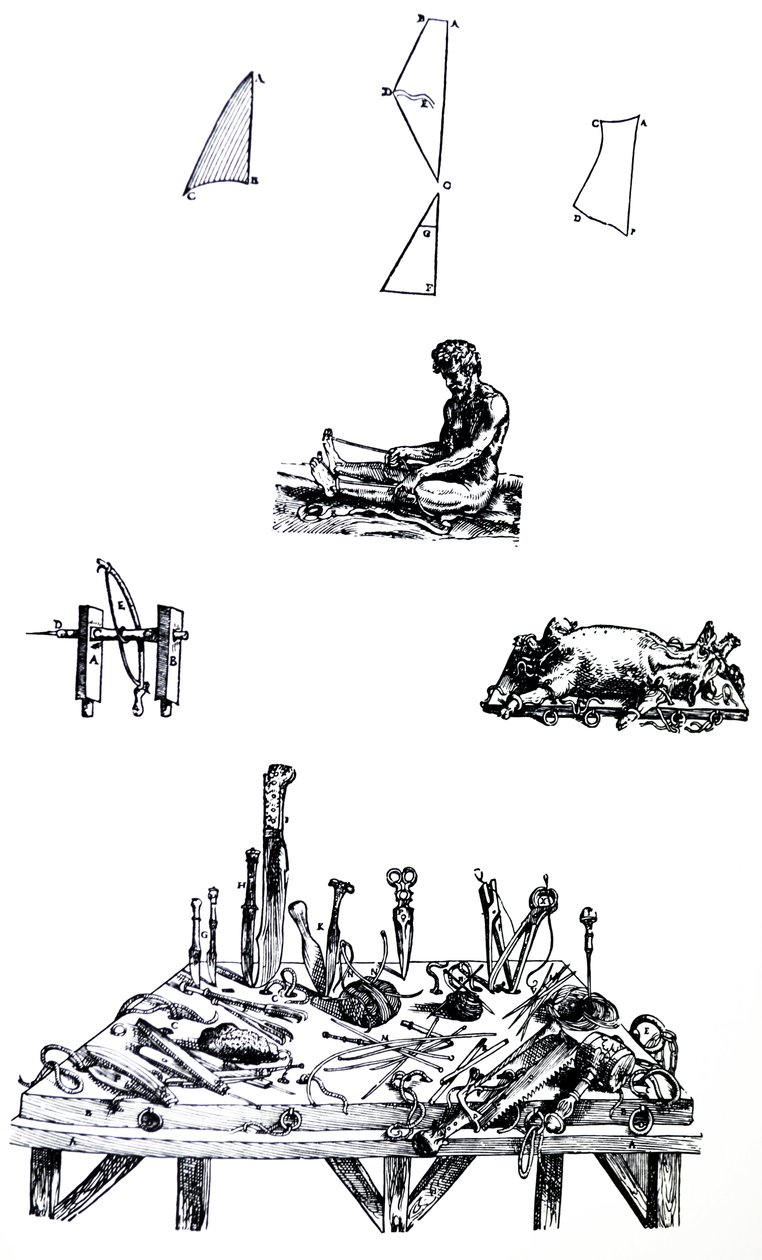 Las placas del segundo libro de De Humani Corporis Fabrica de Andreas Vesalius