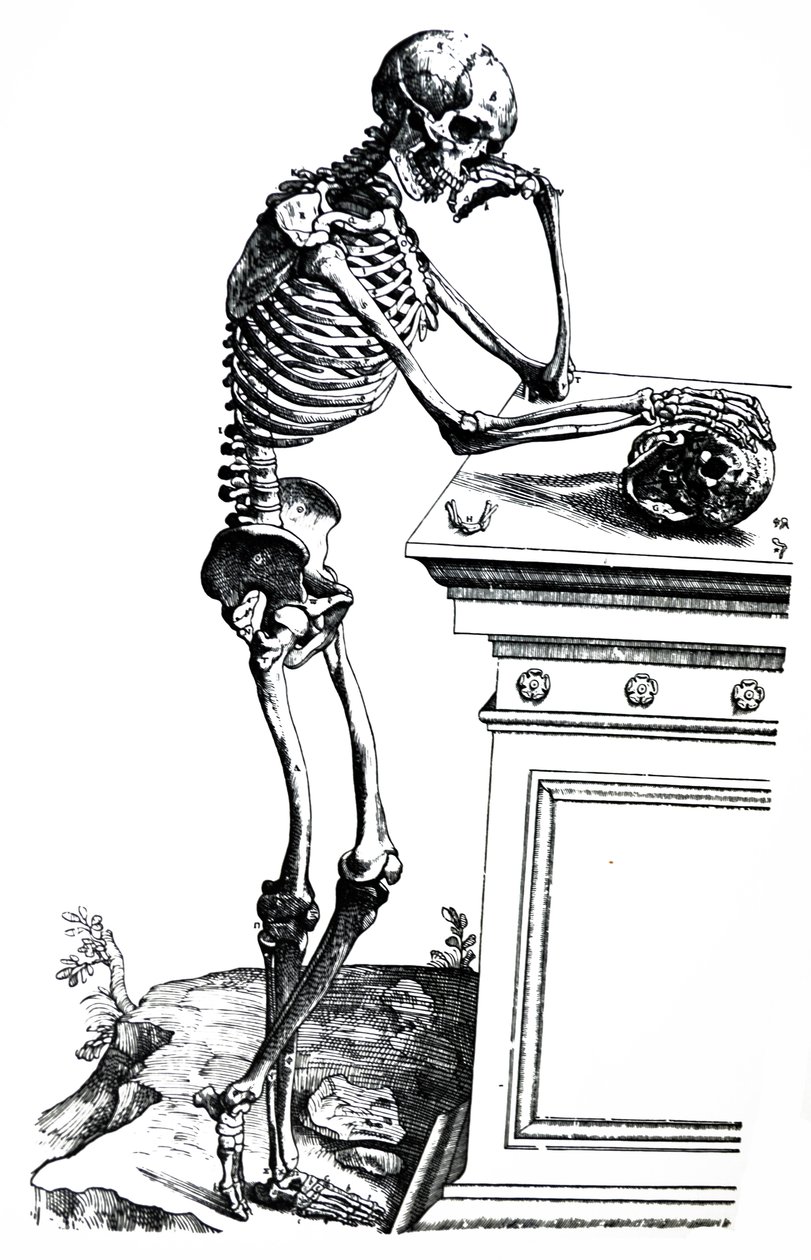 Las placas del séptimo libro de De Humani Corporis Fabrica de Andreas Vesalius