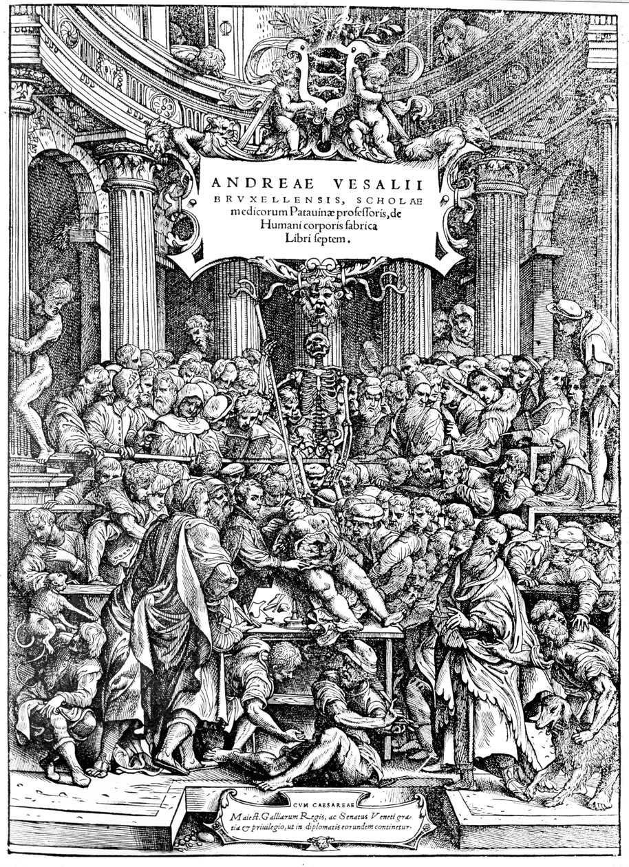 Página de título de Andreas Vesalius De Humani Corporis Fabrica, mostrando a Vesalius diseccionando un cuerpo de Andreas Vesalius