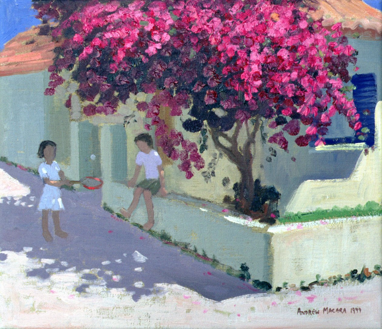 Bougainvillaea, Zante, 1999 de Andrew Macara