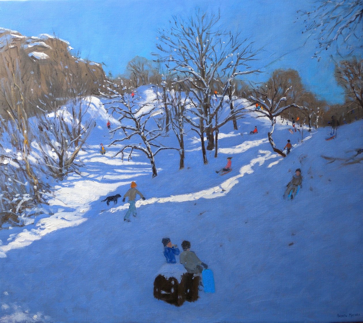 Mañana brillante en Black Rocks, Derbyshire, 2009 de Andrew Macara