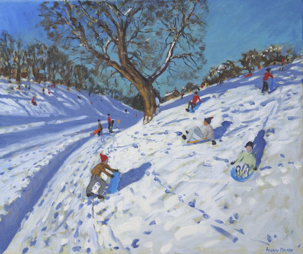Mañana brillante, Chatsworth, 2013 de Andrew Macara