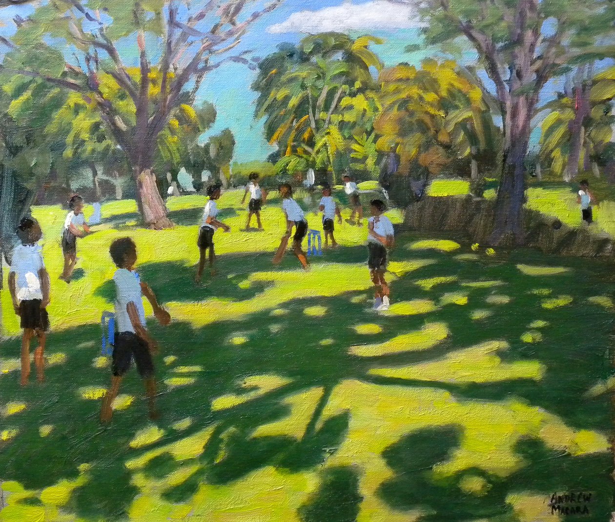 Críquet, 2011 de Andrew Macara