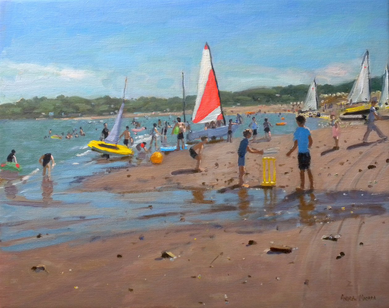 Críquet, 2011 de Andrew Macara