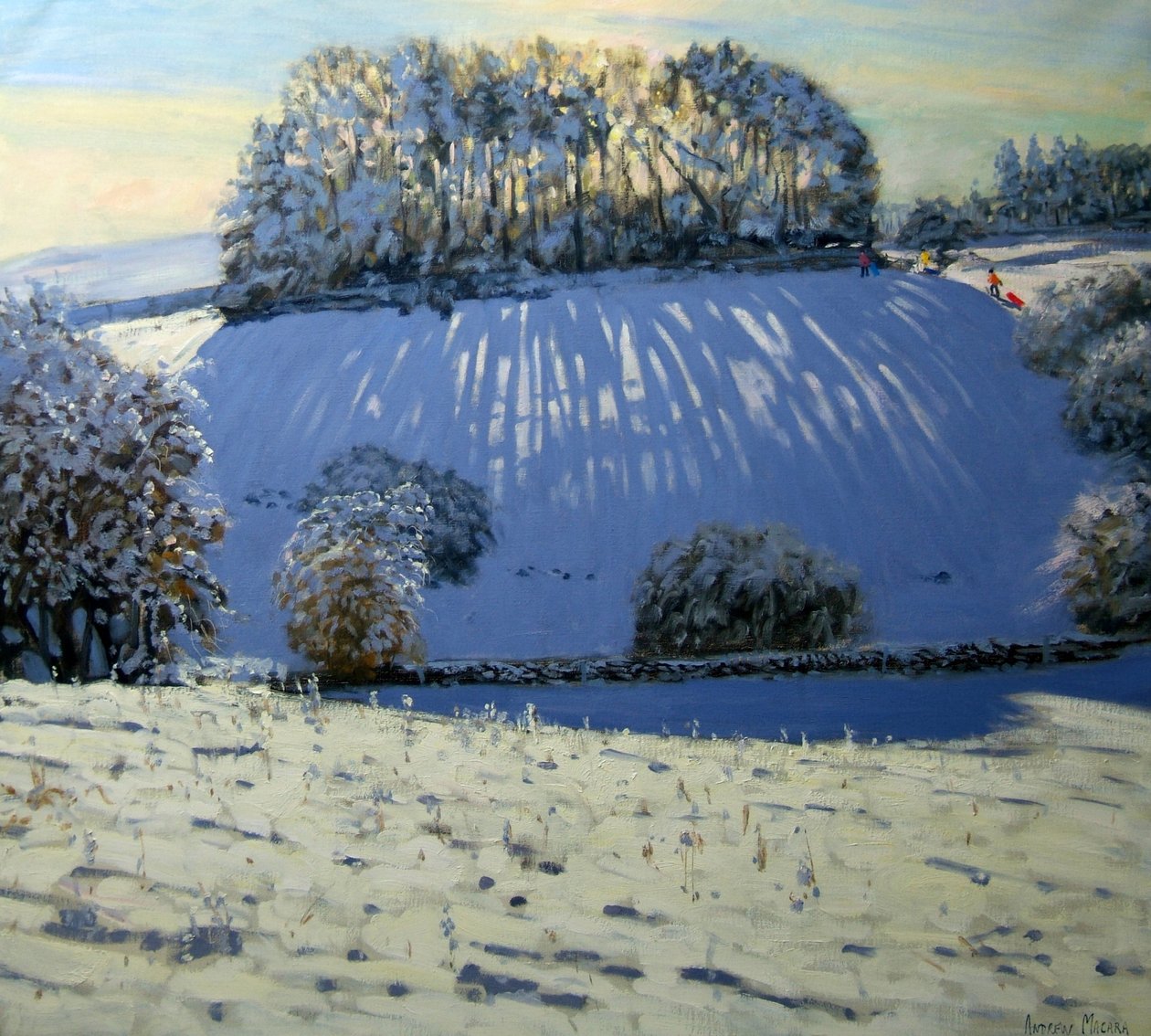 Campo de Sombras, cerca de Youlgrave, Derbyshire de Andrew Macara