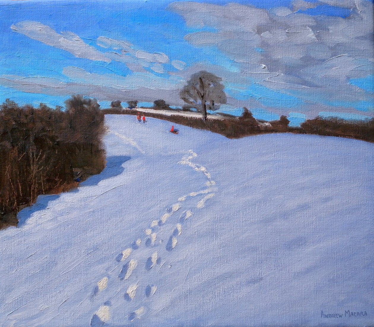 Huellas en la nieve, 2009 de Andrew Macara