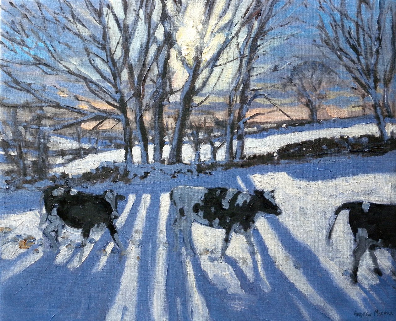Vacas Frisias, 2009 de Andrew Macara