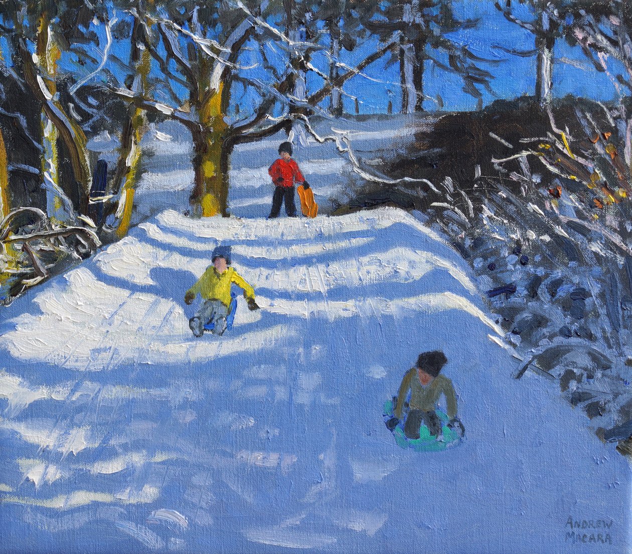 Diversión en la nieve, Wash Green, Derbyshire, 2014 de Andrew Macara