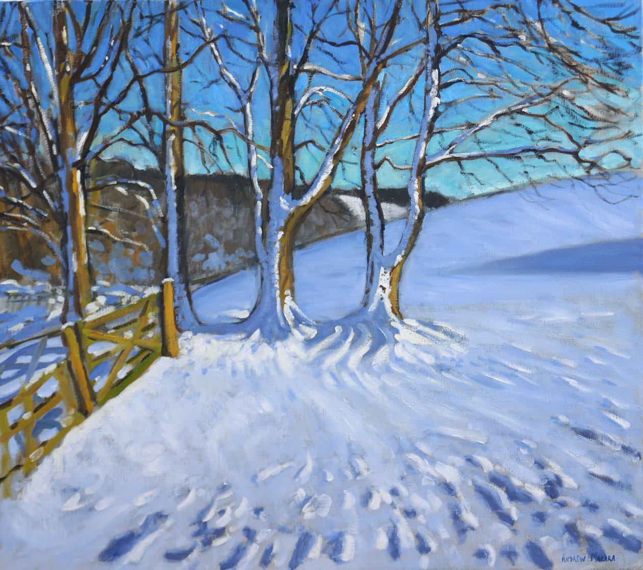 Puerta y árboles, invierno, Dam Lane, Derbyshire, 2013 de Andrew Macara