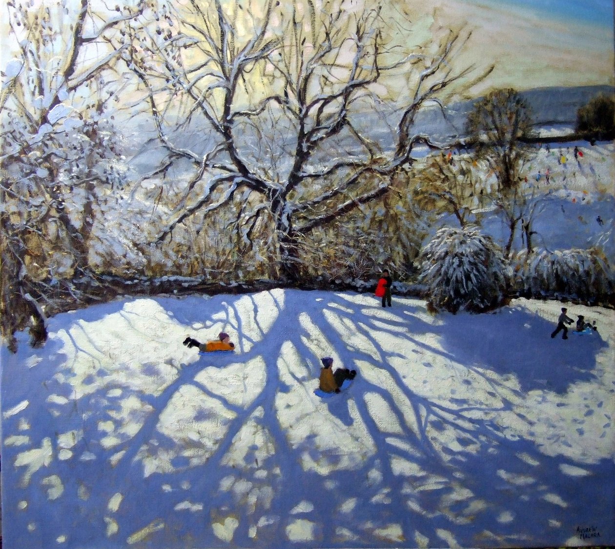 Árbol grande y trineos, Youlgreave, Derbyshire de Andrew Macara