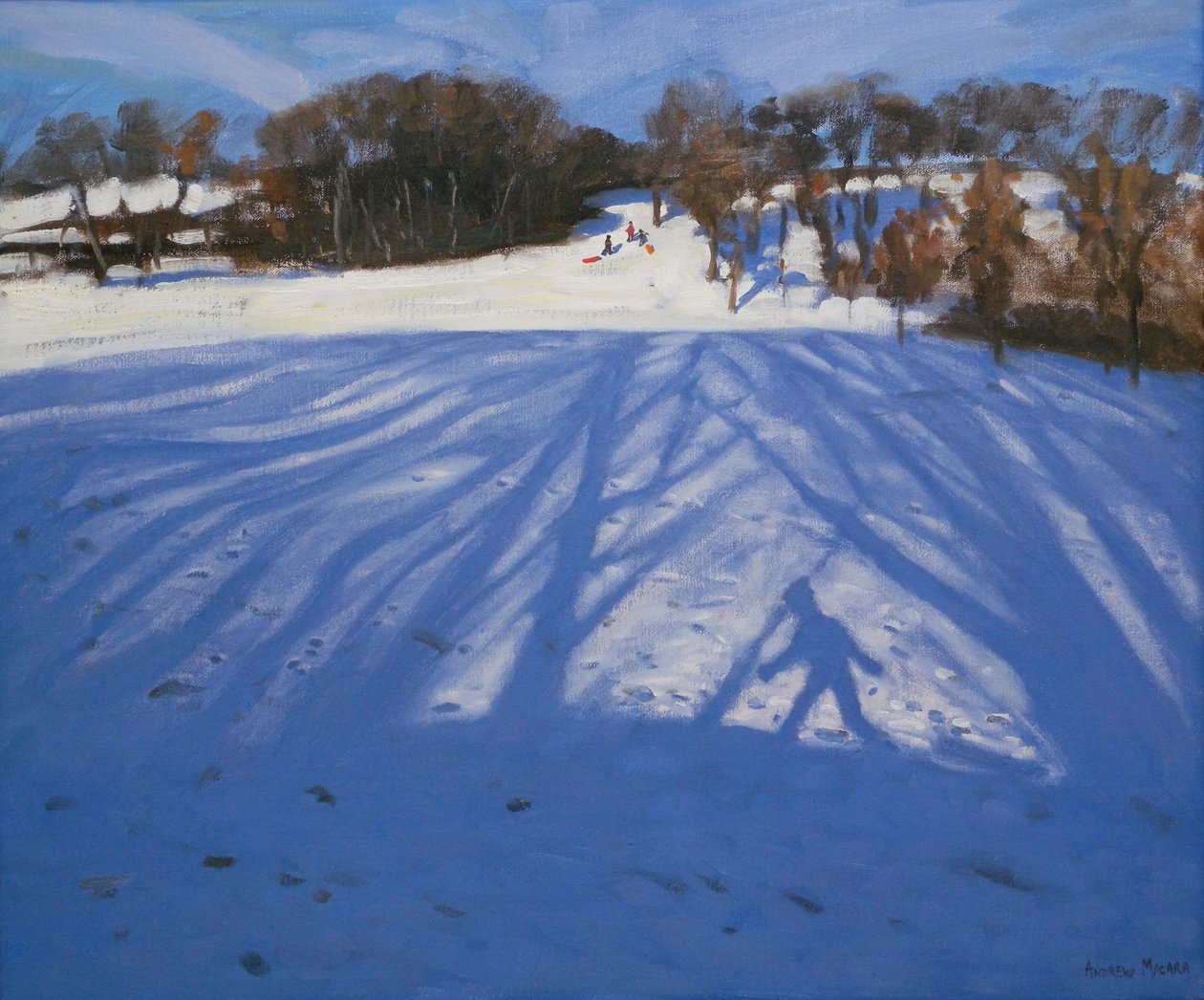 Sombra del trineo, 2008 de Andrew Macara