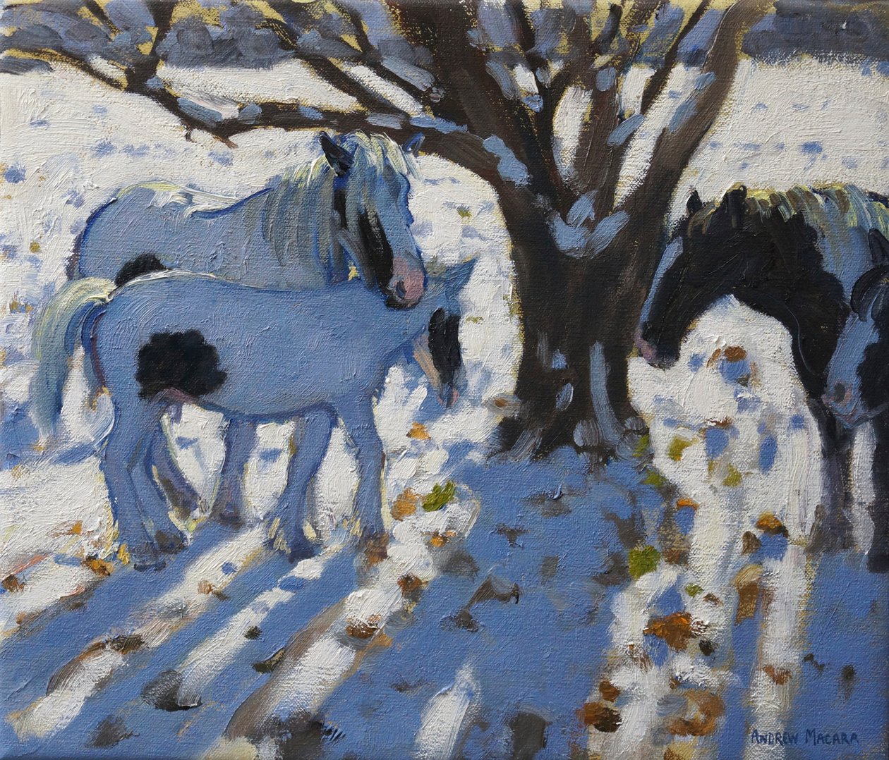 Ponis píos en invierno, 2012 de Andrew Macara