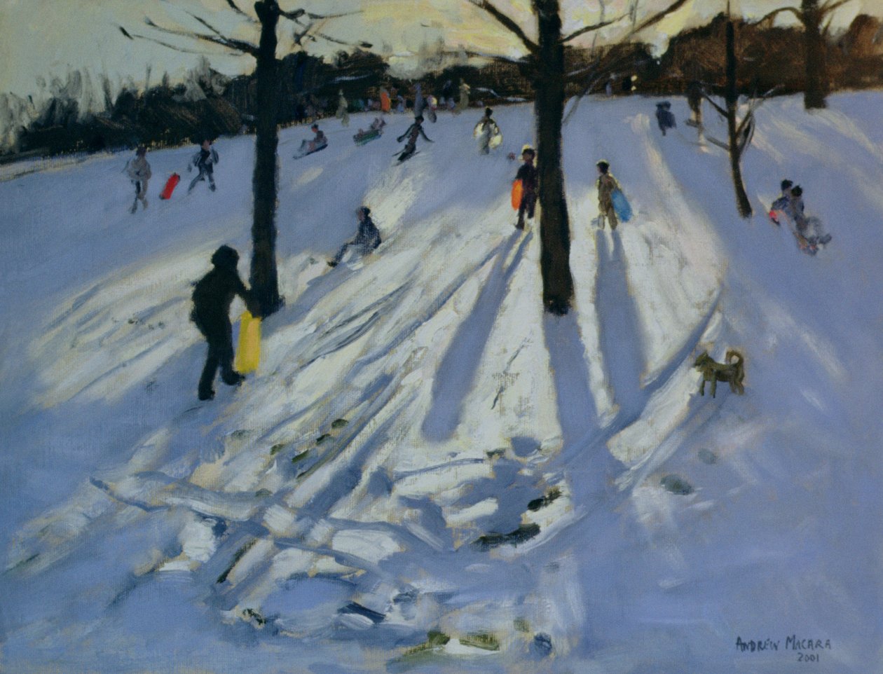 Nieve, Rykneld Park, Derby, 2001 de Andrew Macara