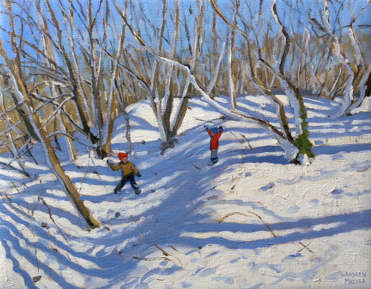 Nieve de primavera, Newhaven Derbyshire, 2008 de Andrew Macara