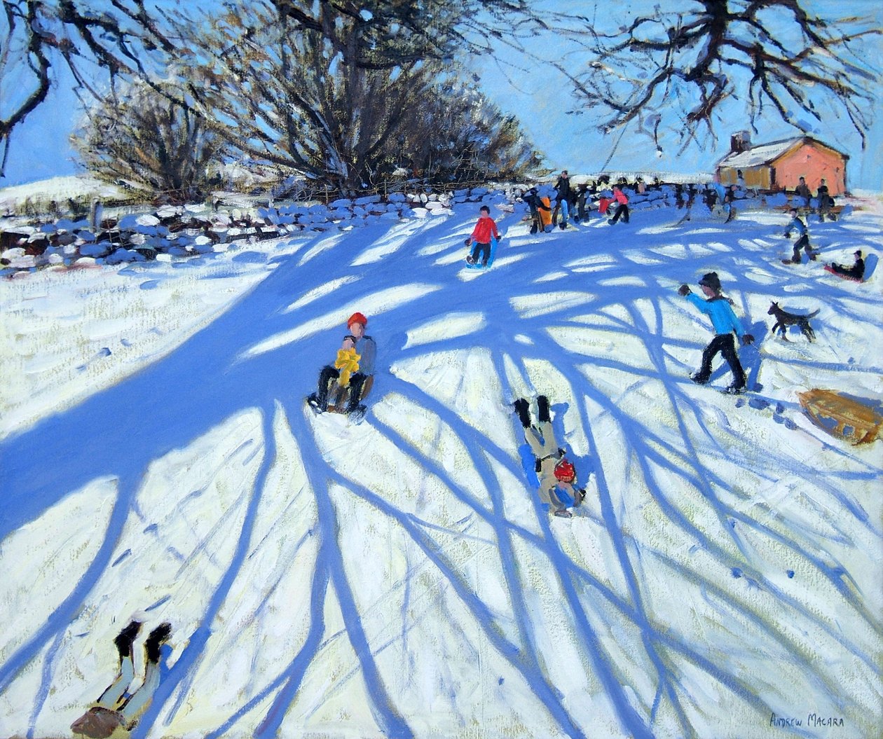 La sombra, Derbyshire de Andrew Macara