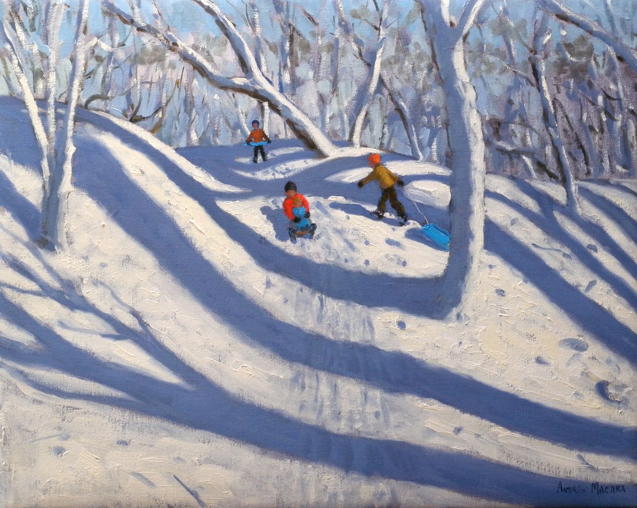 Invierno en Bramcote, Nottingham, 2008 de Andrew Macara