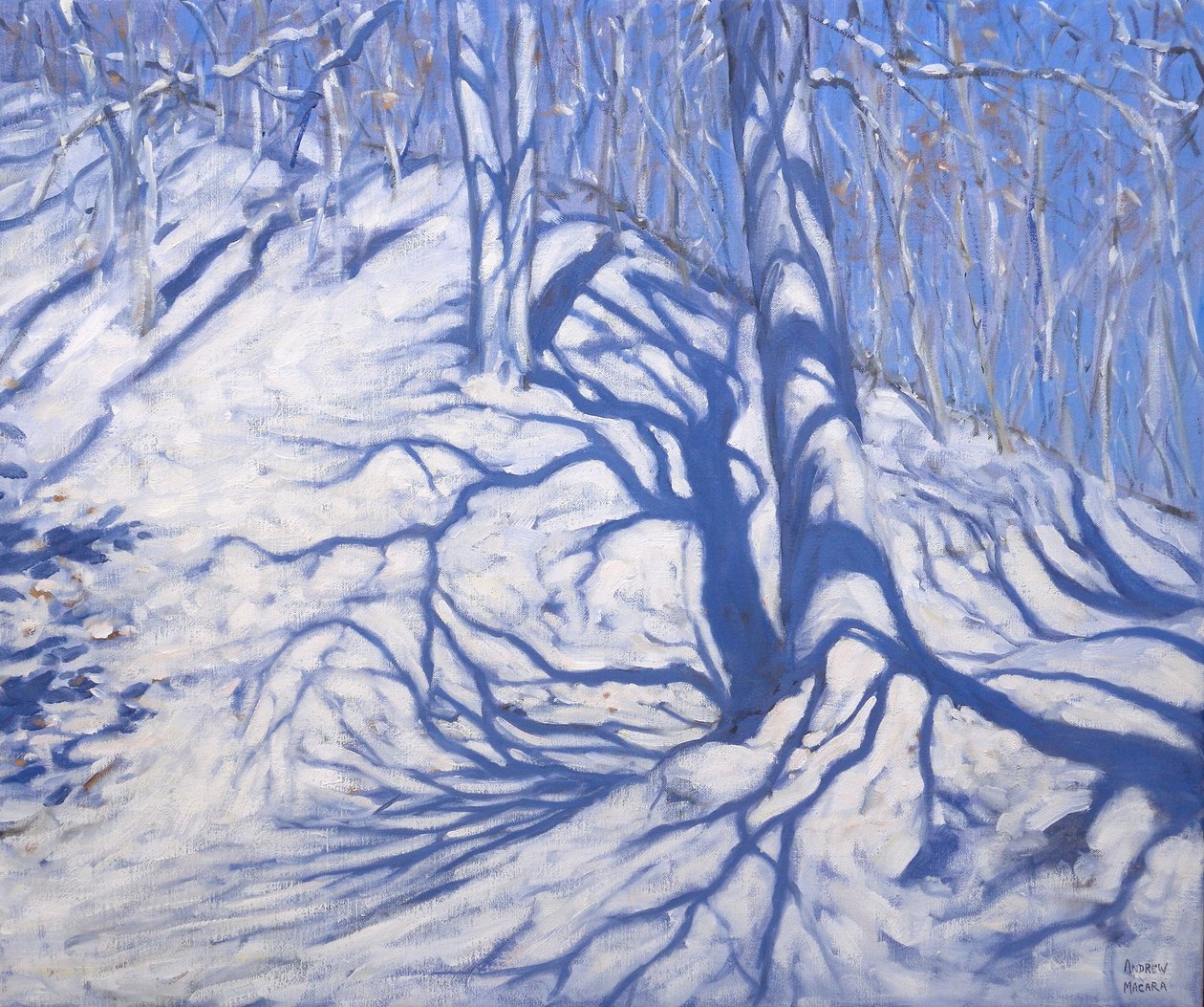 Bosque invernal, cerca de Courcheval, 2008 de Andrew Macara