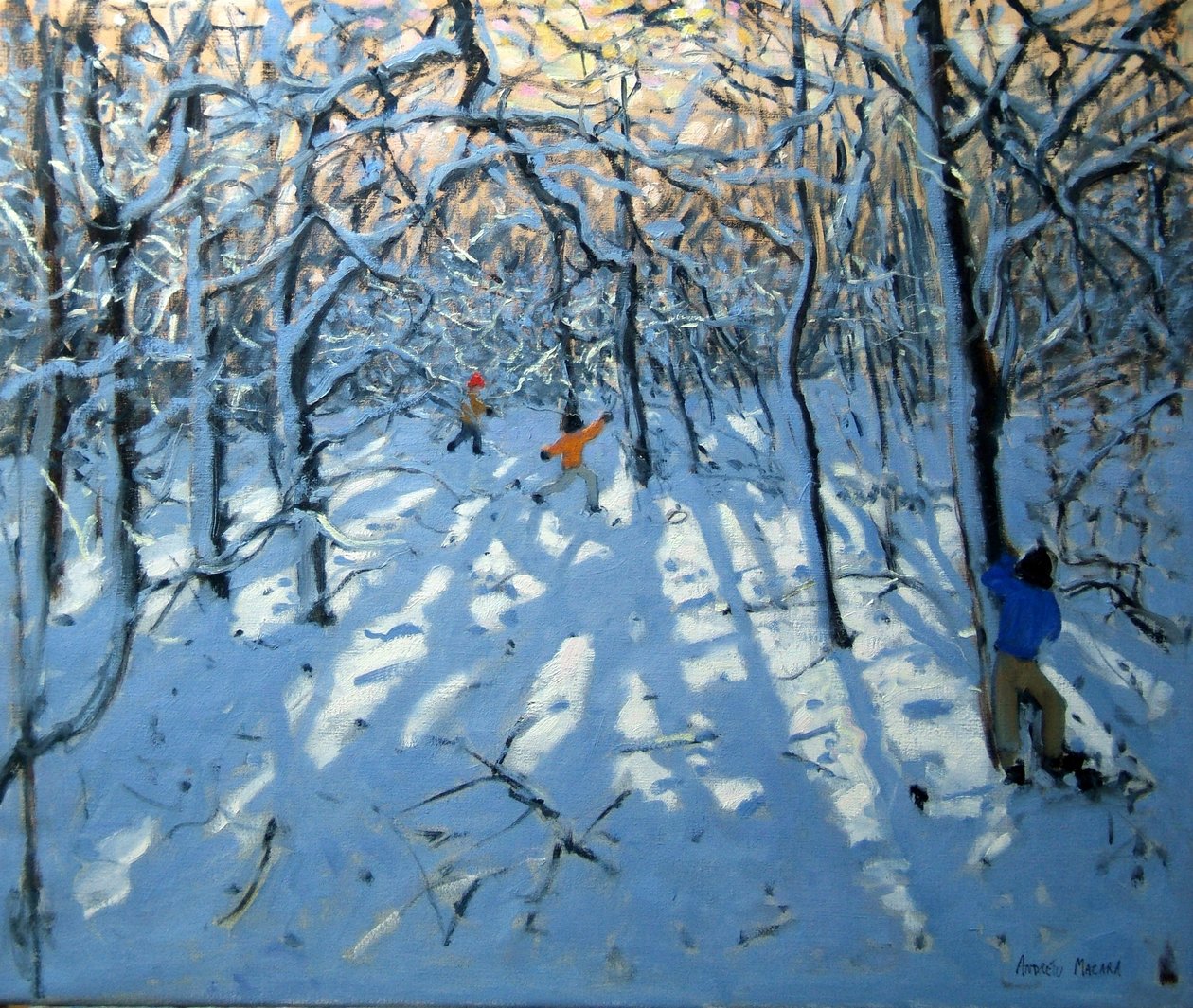 Bosque invernal, cerca de Newhaven, Derbyshire de Andrew Macara