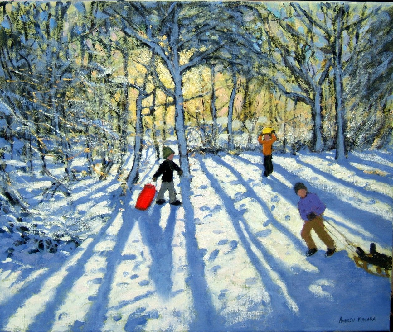 Bosque en invierno, cerca de Ashbourne, Derbyshire de Andrew Macara
