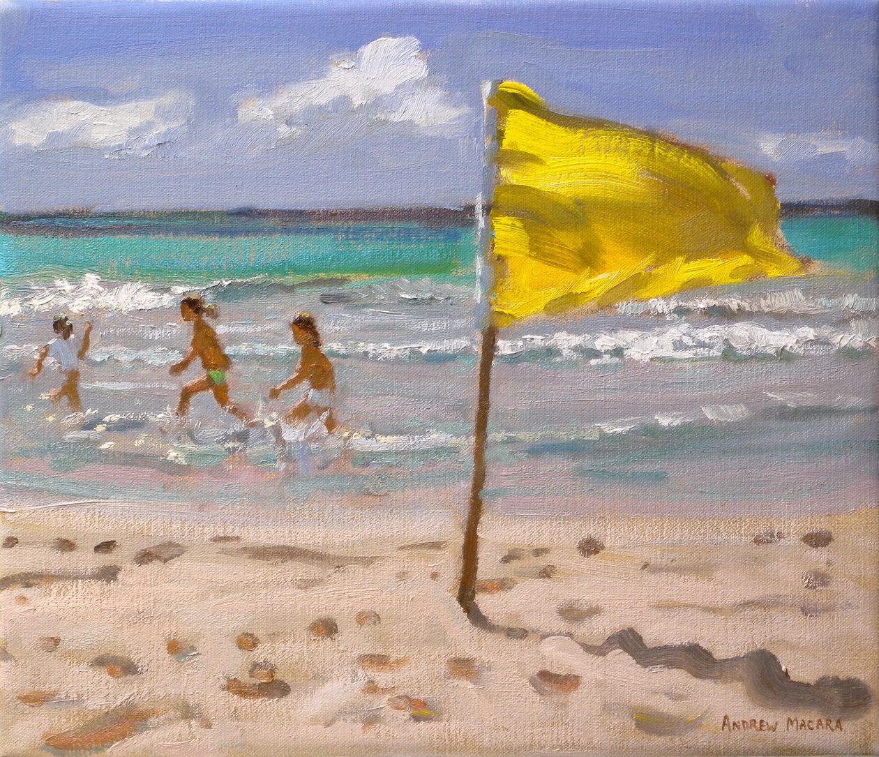 Bandera amarilla, Barbados, 2010 de Andrew Macara