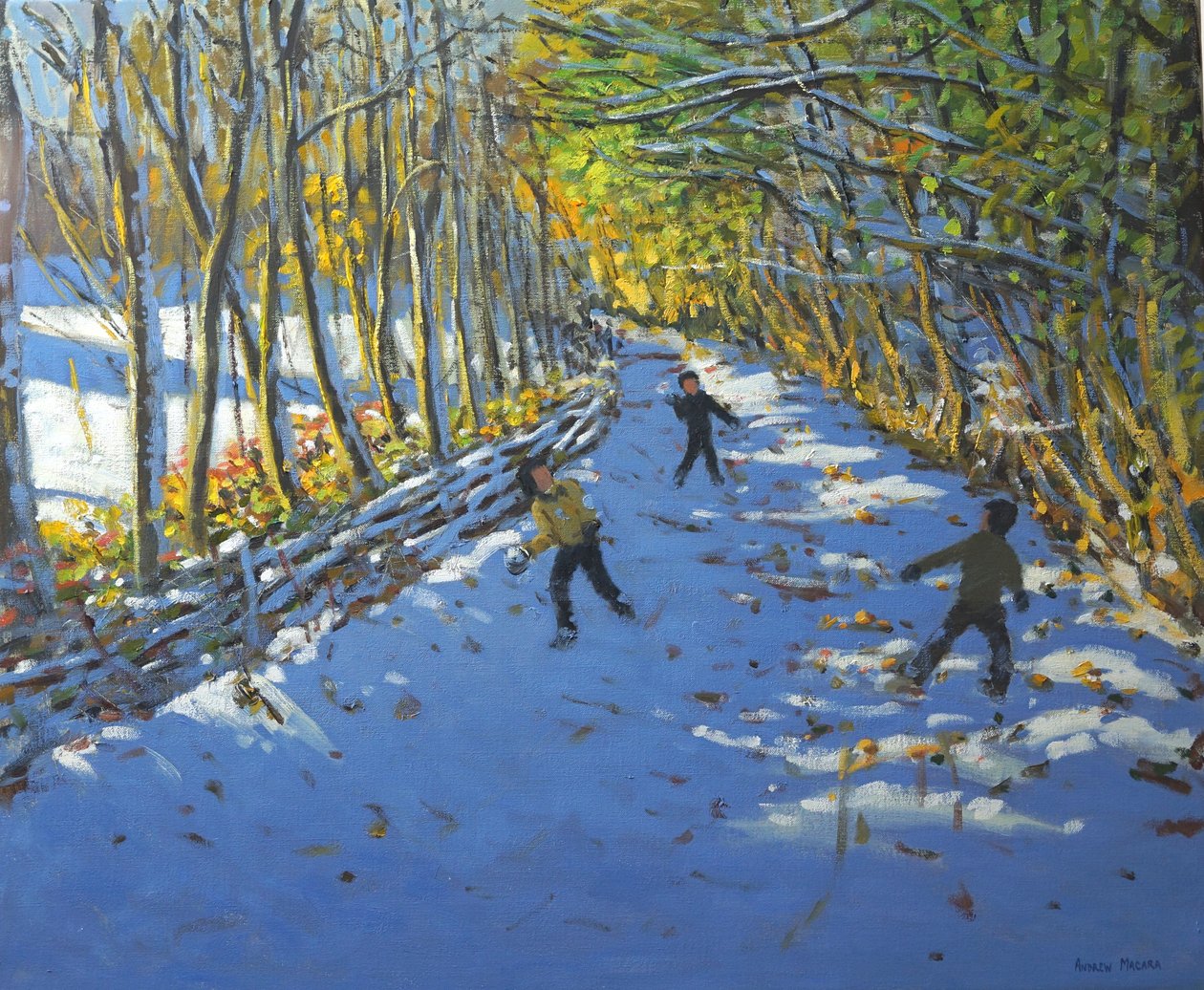 Árboles amarillos, Allestree Park, 2012 de Andrew Macara