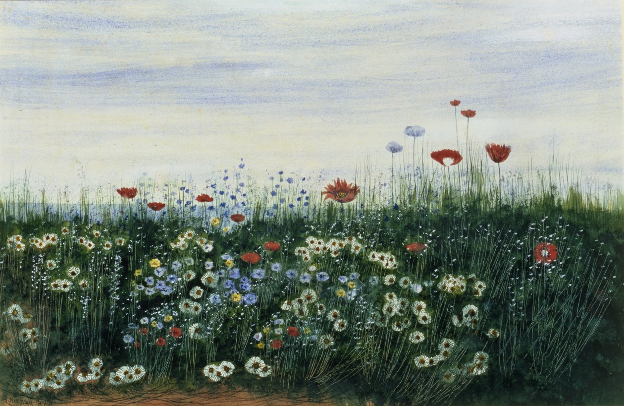 Amapolas, margaritas y otras flores junto al mar de Andrew Nicholl