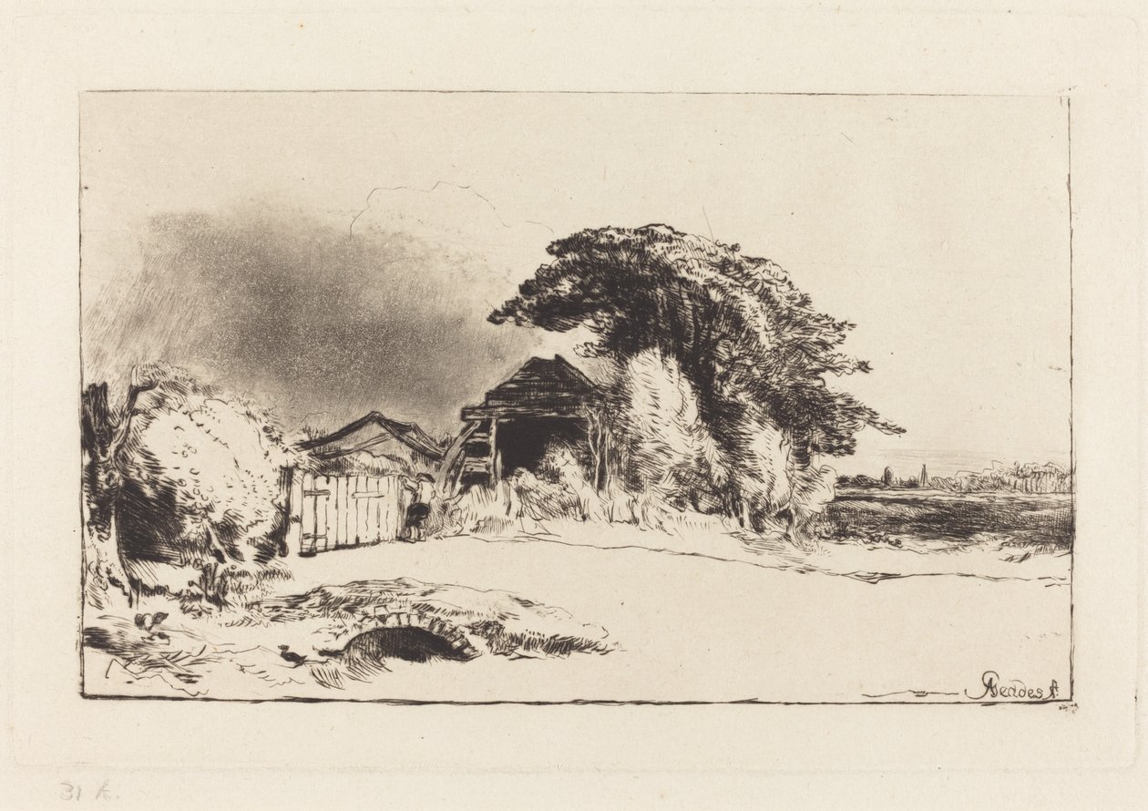 Peckham Rye de Andrew Geddes