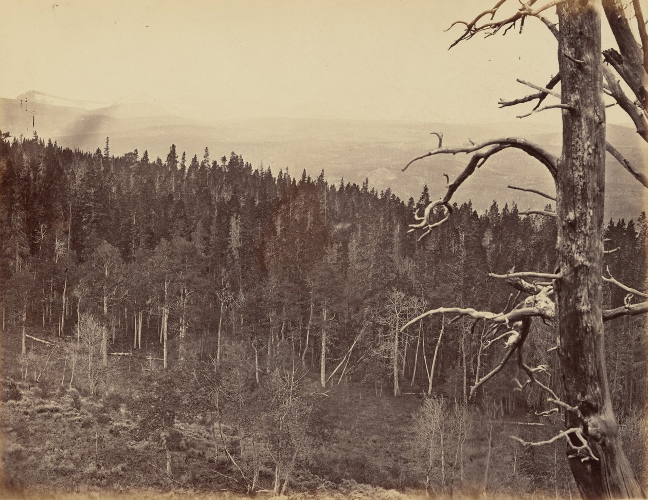 Lámina 13. Snow and Timber Line, Laramie Mountains,1869 (foto) de Andrew Joseph Russell