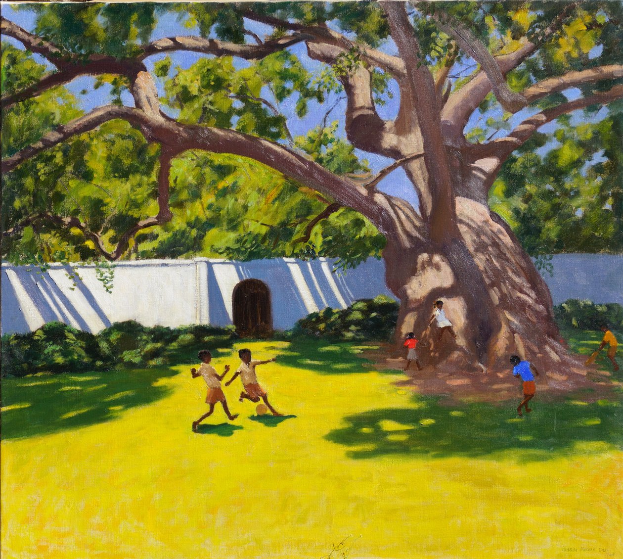 Antiguo árbol de camphor en la finca Vergelegen, Sudáfrica de Andrew Macara