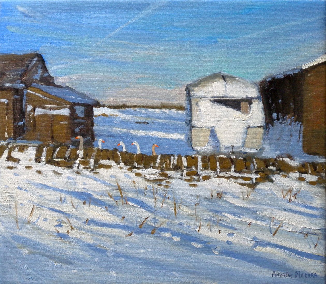 Caravana y gansos, Derbyshire, 2011 (óleo sobre lienzo) de Andrew Macara