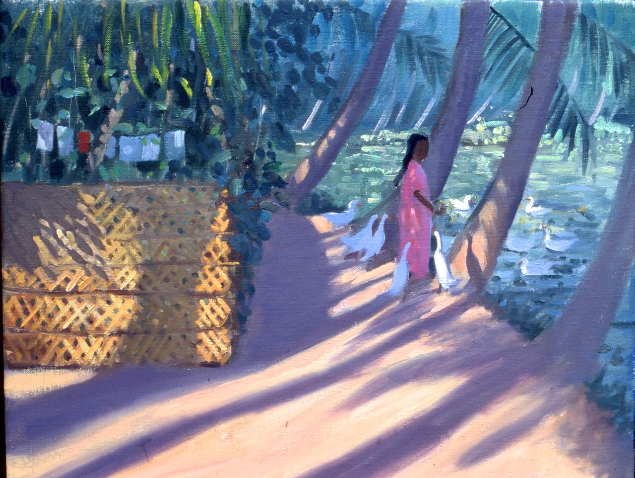Alimentando a los patos, Kerala, India (óleo sobre lienzo) de Andrew Macara