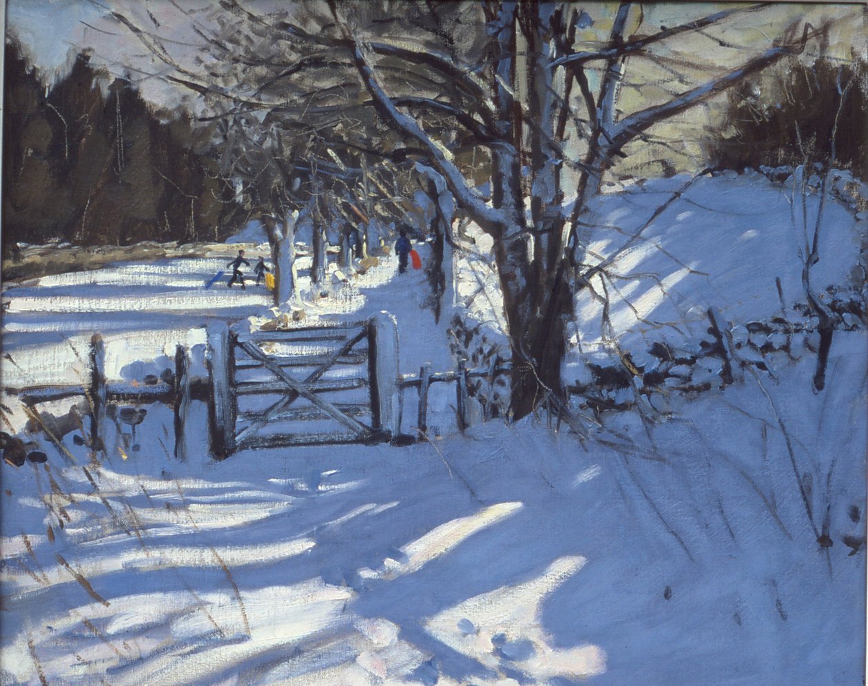 Puerta cerca de Youlgreave, Derbyshire de Andrew Macara