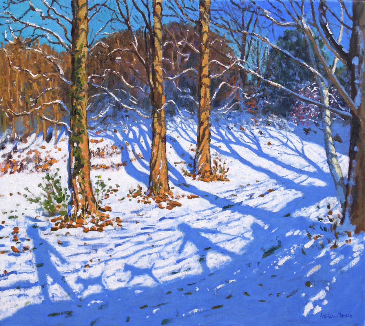 Nieve de noviembre, Allestree Park, Derby, 2017 de Andrew Macara