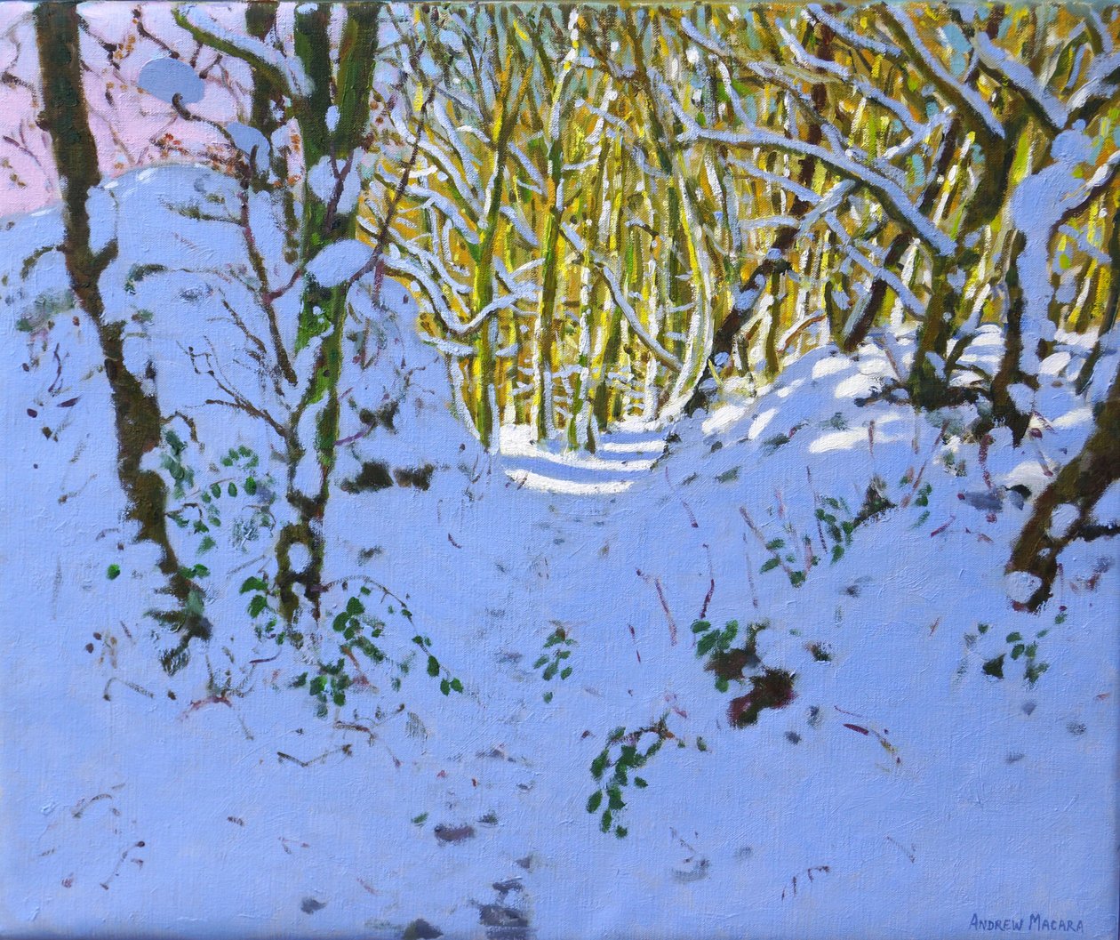 Camino por el bosque en invierno, Derbyshire de Andrew Macara