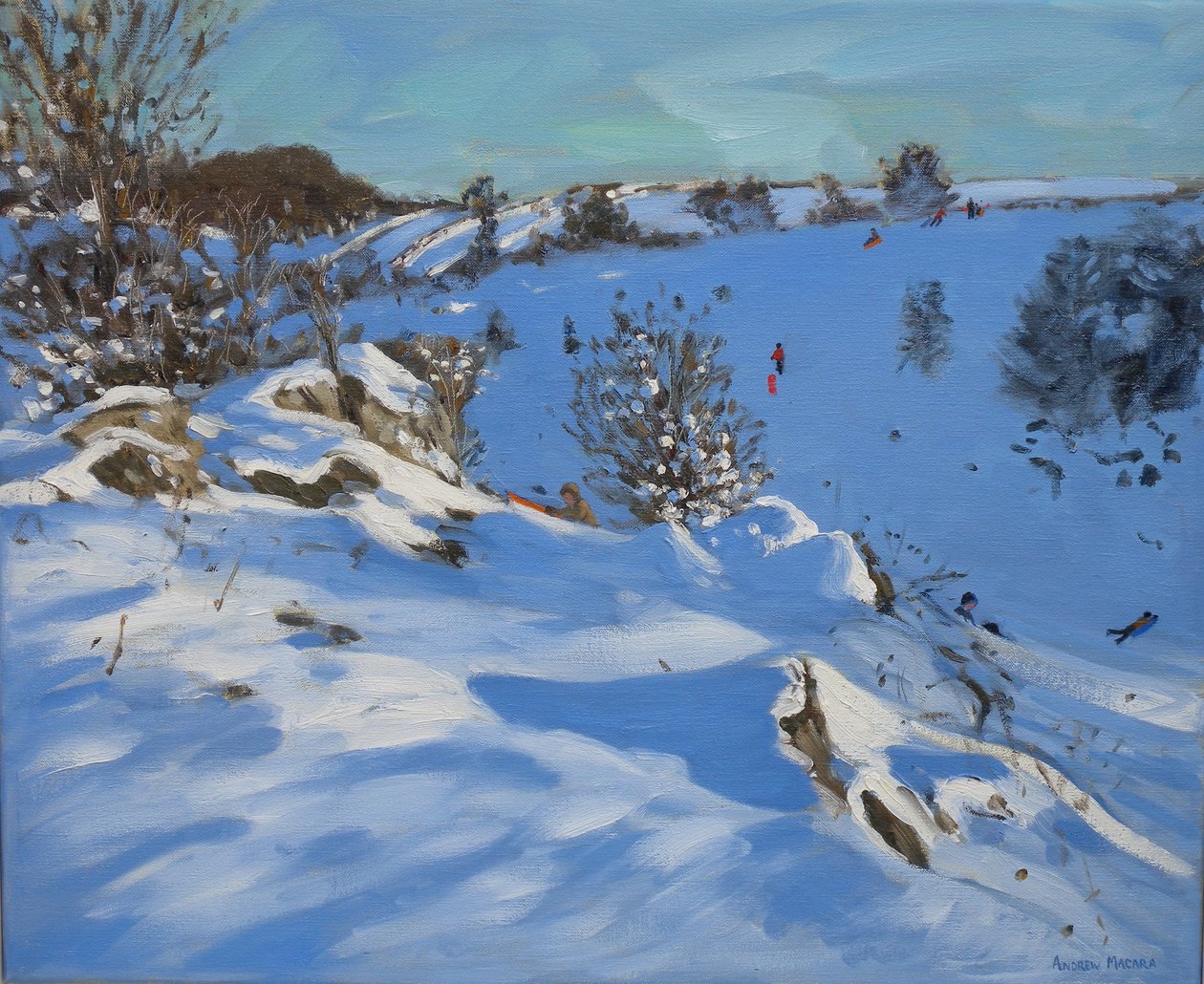 Trineos, Derbyshire, 2011 de Andrew Macara
